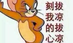 饭后娱乐吃瓜群众图片,揭秘“吃瓜群众”的欢乐时光