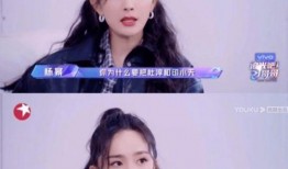 娱乐圈番茄小说吃瓜,番茄小说中的吃瓜盛宴，揭秘明星背后的秘密